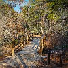 This trail has 12 bridges. Esta trilha tem 12 pontes. : Lake Bastrop South Shore