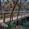 lbss 37 DSC00126 : Lake Bastrop South Shore