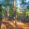 lbss 45 DSC00136 : Lake Bastrop South Shore