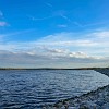 Before we reached the north shore, we stopped to enjoy the lake tranquility. Antes de chegarmos na orla norte, nós paramos para apreciar a tranquilidade do lago. : Lake Bastrop South Shore