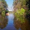 After a week of rains, Lake Bastrop had plenty of water and new areas to explore. Depois de uma semana com muita chuva, o Lago Bastrop estava mais cheio e com novas áreas para explorar.