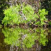 05DSCN0185
