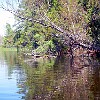 06DSCN0187