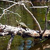 07DSCN0190