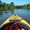 The view from my kayak. A vista do meu caiaque.