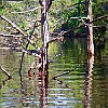 11DSCN0195