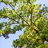 13DSCN0199
