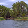 Friday was cloudy and windy. A sexta-feira foi nublada e com muito vento. : Lake Bastrop South Shore