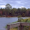 02DSC 1557 : Lake Bastrop South Shore