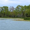 03DSC 1561 : Lake Bastrop South Shore