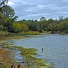 06DSC 1570 : Lake Bastrop South Shore