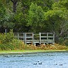 07DSC 1573 : Lake Bastrop South Shore