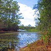 12DSC 1586 : Lake Bastrop South Shore
