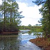 13DSC 1589 : Lake Bastrop South Shore
