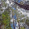 16DSC 1596 : Lake Bastrop South Shore
