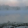 23DSC 1613 : Lake Bastrop South Shore