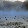 24DSC 1616 : Lake Bastrop South Shore