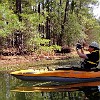 What am I photographing? O que eu estava fotografando? : Lake Bastrop South Shore