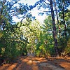 An afternoon bike ride to the north shore. Um passeio de bicicleta no fim da tarde para o lado norte do lago. : Lake Bastrop South Shore