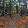 51DSC 1636 : Lake Bastrop South Shore