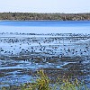 55DSC 1646 : Lake Bastrop South Shore