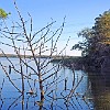57DSC 1649 : Lake Bastrop South Shore