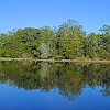58DSC 1652 : Lake Bastrop South Shore
