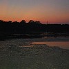 Lake Bastrop sunset. Por-de-sol no Lago Bastrop.