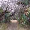 DSC01887