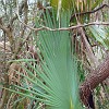 DSC01888