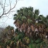 DSC01890