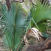 DSC01892