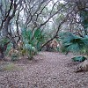 DSC01894
