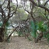 DSC01895