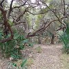 DSC01896