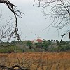 DSC01897