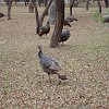 DSC01900