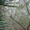 DSC01902