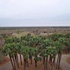 DSC01904