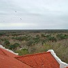 DSC01908