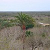 DSC01909