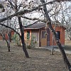 DSC01910