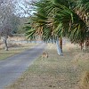 DSC01911