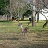 DSC01912