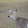 DSC01915