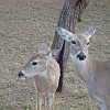 DSC01916