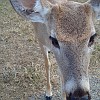 DSC01917