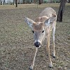 DSC01918
