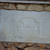 DSC01921