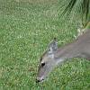 DSC01923